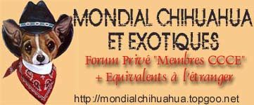 http://mondialchihuahua.topgoo.net/index.htm http://mondialchihuahua.topgoo.net/index.htm